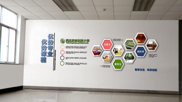 一般企業(yè)文化墻的尺寸是多大?(圖3) 大學(xué)教學(xué)企業(yè)文化墻設計